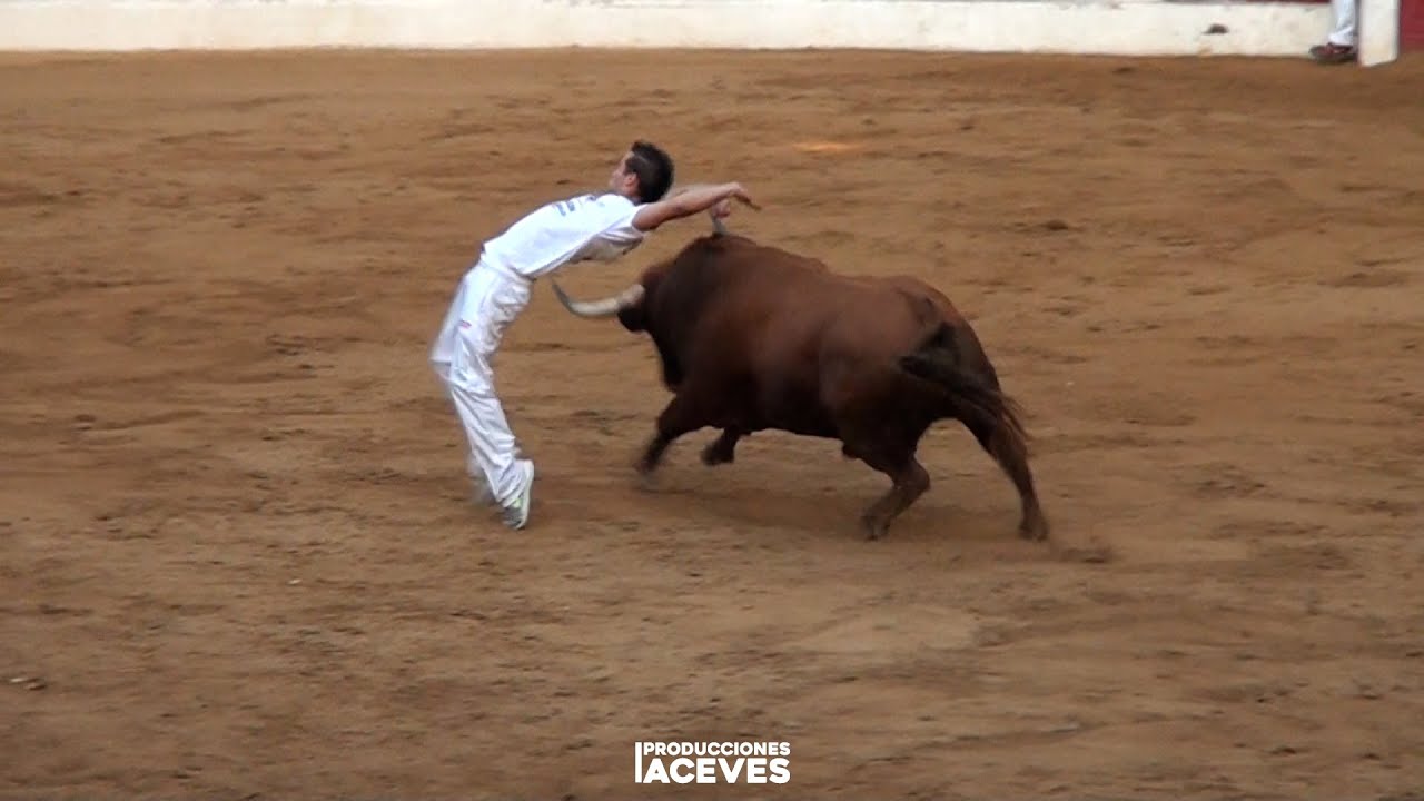 Semifinal Liga del Corte Puro - Íscar 2011