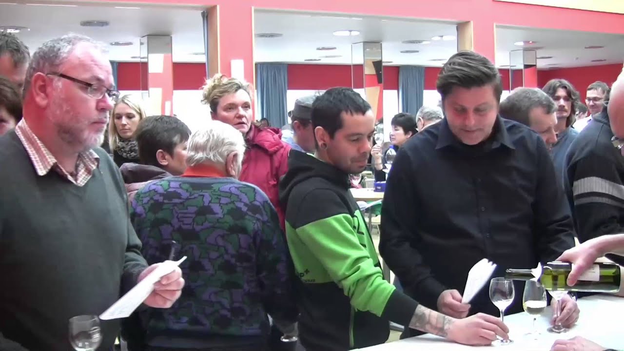 Žabčice - Výstava vín 2016