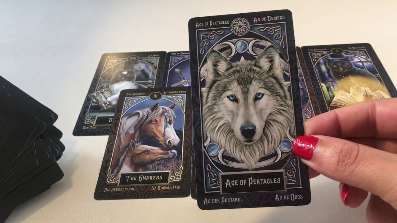 Virgo ♍️ (Must see) Make the right decision!!