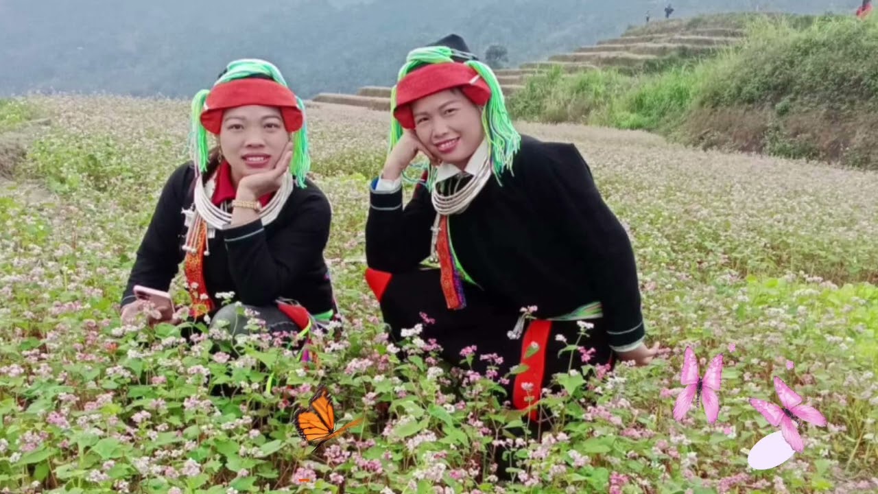 P2 hát đối đáp nam nữ hát song ca cực kỳ hay mọi người cùng nghe nhé 