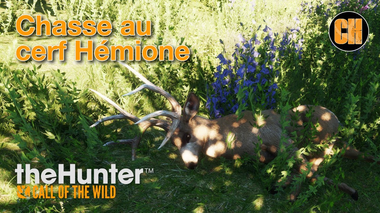 THE HUNTER COTW chasse au cerf hémione