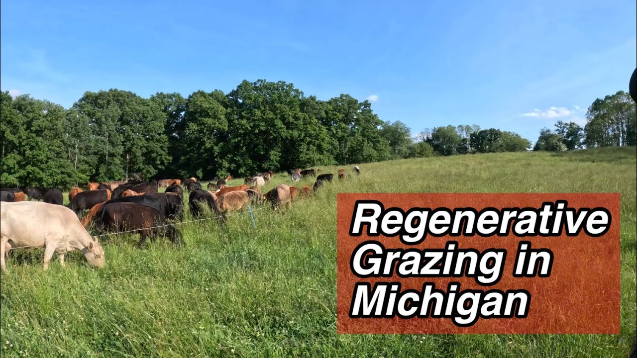 Pasture Regrowth with Non-Selective Grazing