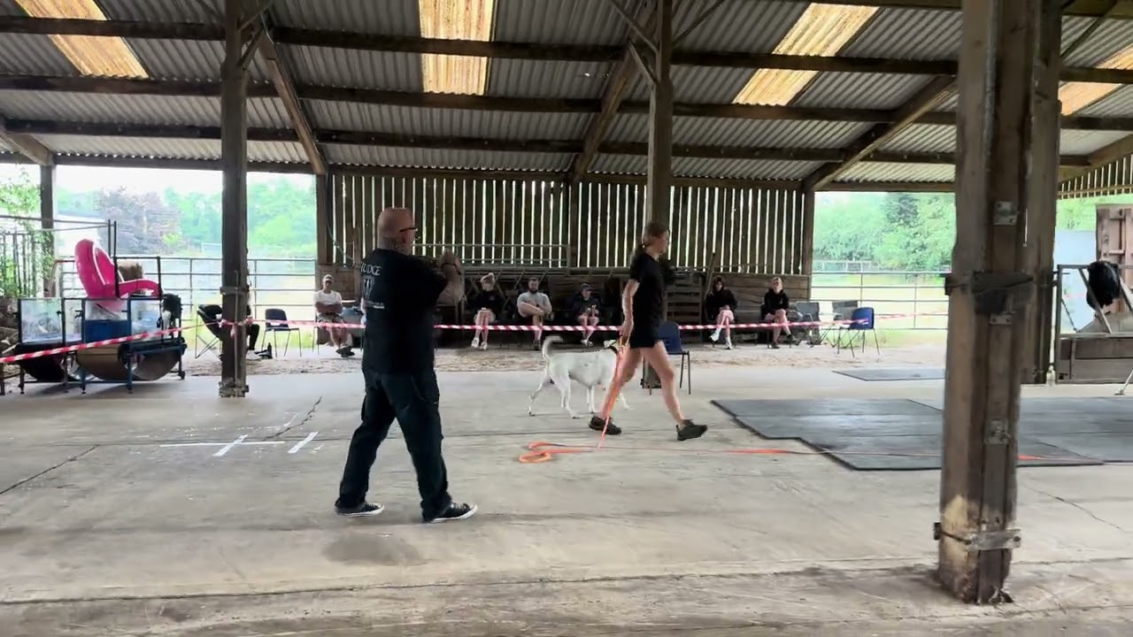 Carley and Jeffie, SR1 test pass