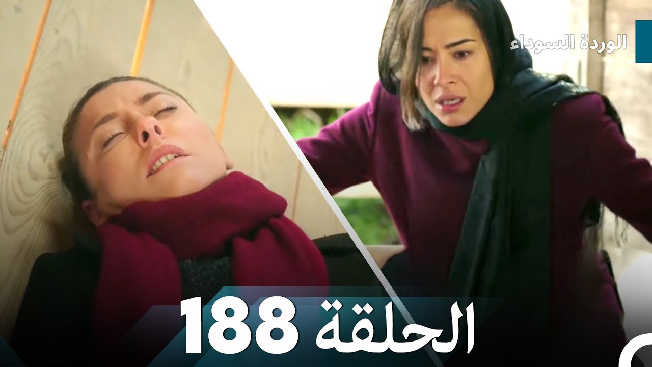 الوردة السوداء الحلقة 188