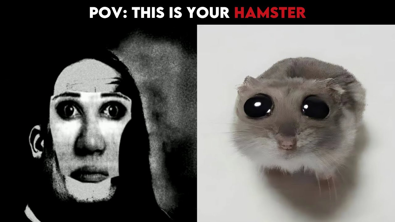 Mr Incredible Becoming Uncanny... | This Is Your Hampter | V.71