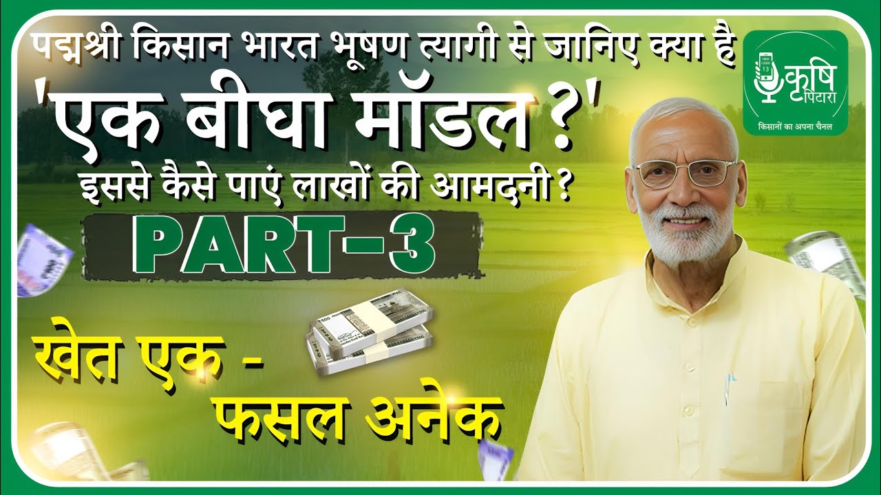 एक बीघा मॉडल | Part-03 | Ek Beegha Model | Multicrop Farming | Farm Model | Farmers Income| Farming