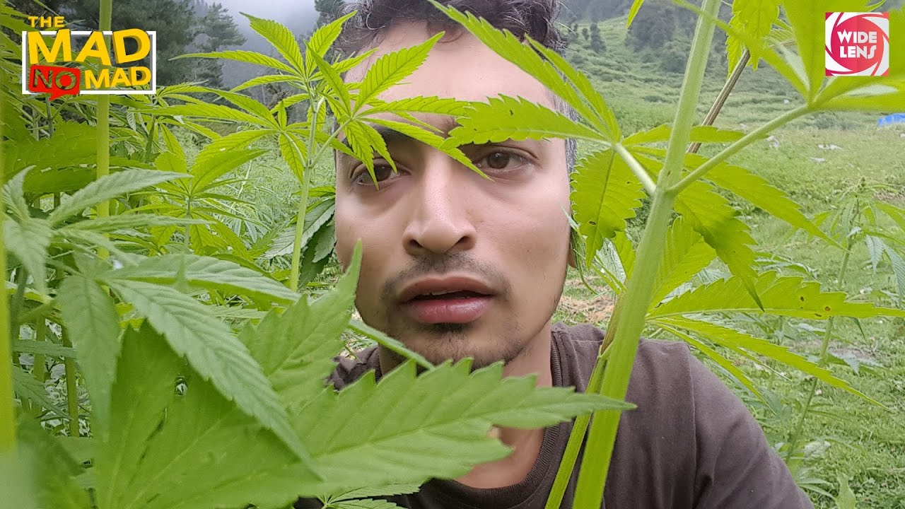 The MAD NoMAD Teaser 1 | Wide Lens