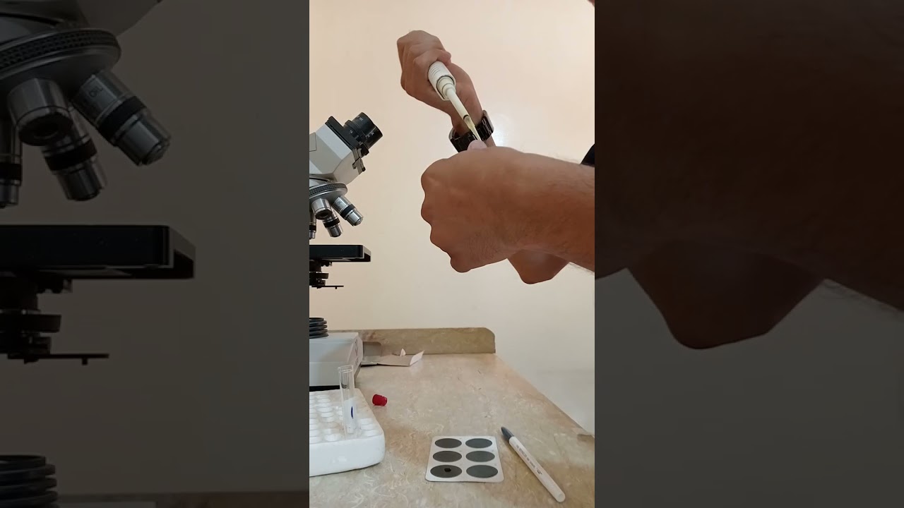 طريقة  التخفيف في شغل اللاتيكس عملي latex dilution methods