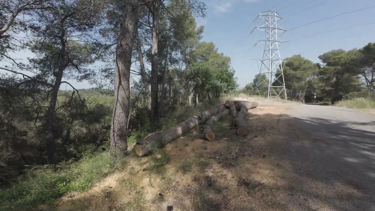 DJI OSMO 4 . First Test. Saturation. Contrast. Motion Tracking.
