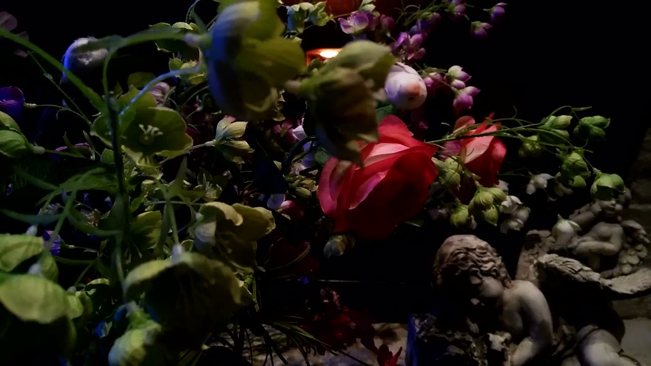 3 februari 2026 Monique Van Noten zingt Maria Ch. Gounod 