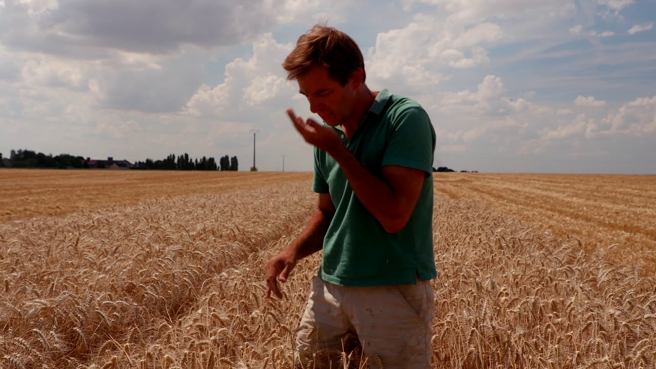 [Portrait] Arnaud François, agriculteur en Ile-de-France | Les Céréales