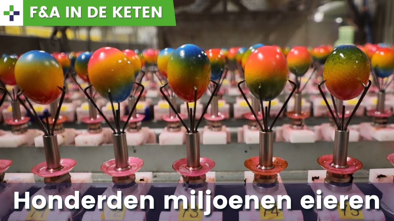 Egga Food verwerkt honderden miljoenen eieren per jaar
