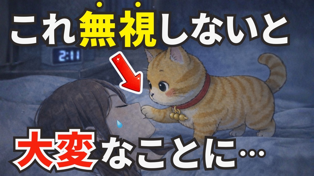 【初心者必見！】飼い主は絶対に無視したほうがいい意外な猫の行動5選【猫の雑学】