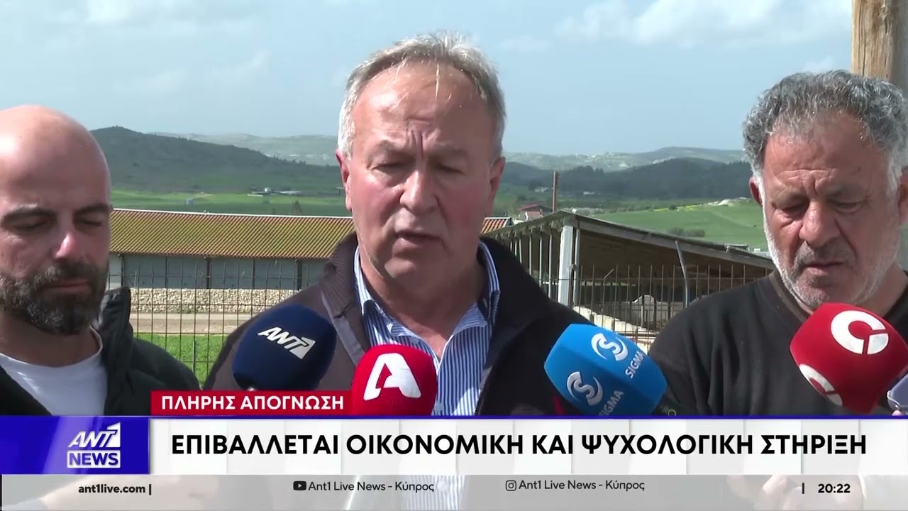 Αφθώδης πυρετός: Κραυγή απόγνωσης από τους κτηνοτρόφους - Καταστράφηκαν κόποι και αγώνες μιας ζωής