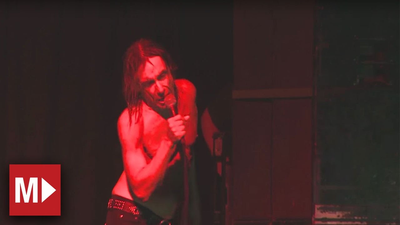 Iggy and the Stooges | Night Theme | Live in Sydney