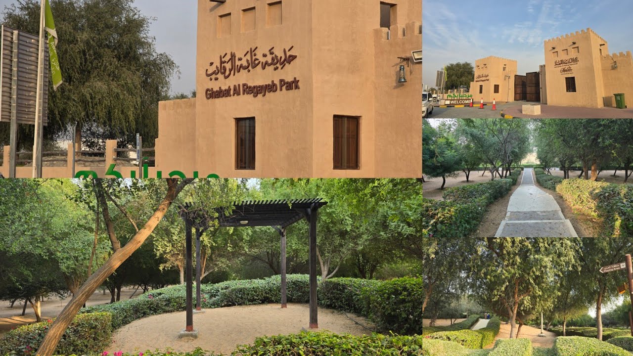 Ghabat Al regayeb park in Ajman UAE|Hidden gem with plenty of activities,bike rentals& rides in park