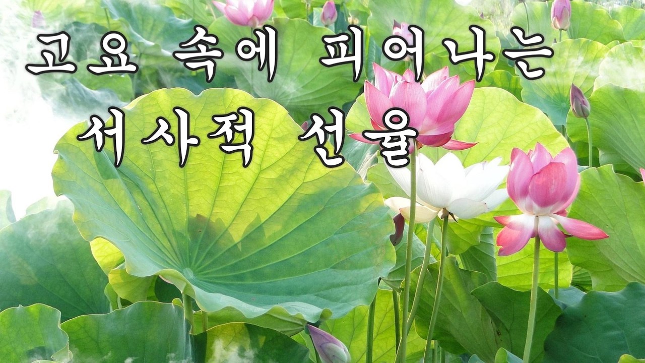 (#63)한국 전통 국악 연주곡 :  🌿 한국적 아름다움이 그리는 영화 한 컷.