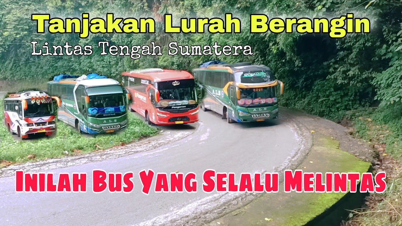 Bus Pemain Lintas Sumatera‼️Menaklukan Tanjakan Lurah Berangin 