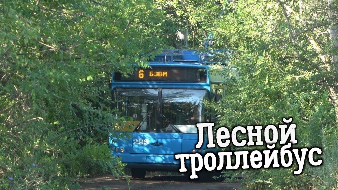 Лесной троллейбус или самая необычная конечная для электротранспорта