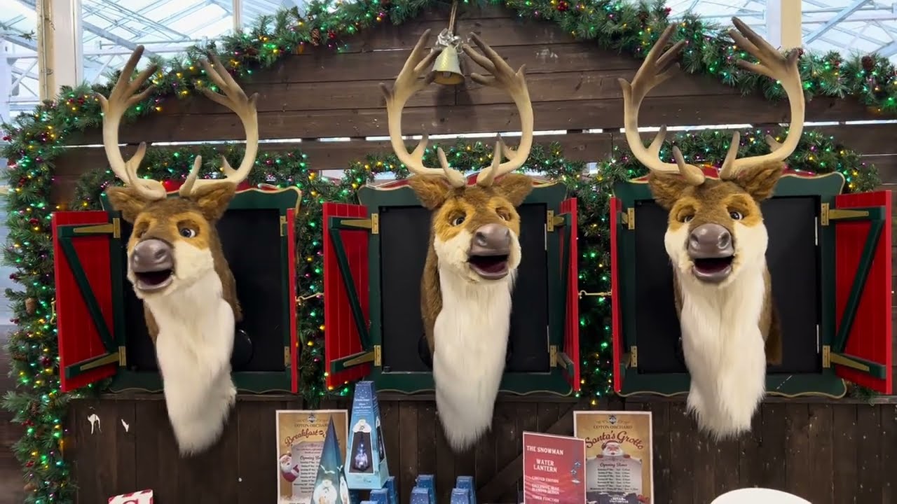 Singing Reindeer Xmasn2023