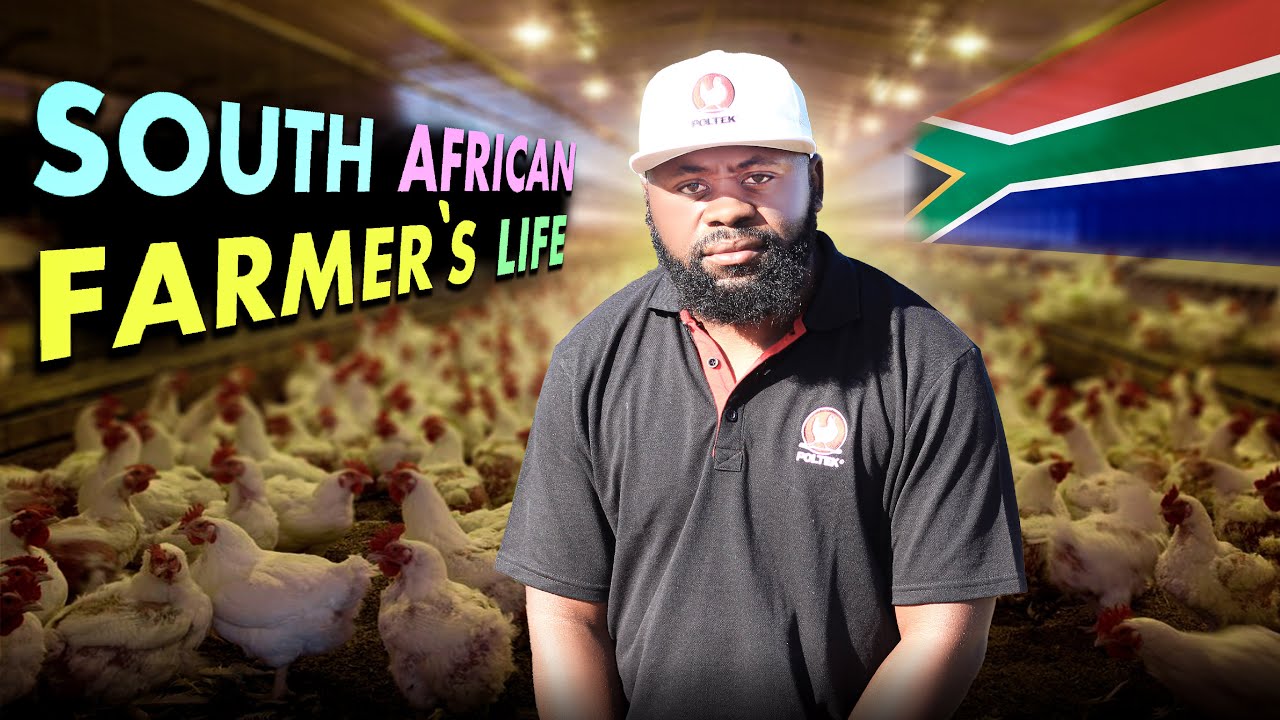 Essential Poultry Equipment Every Farmer Needs for Successful Poultry Farm in Africa
