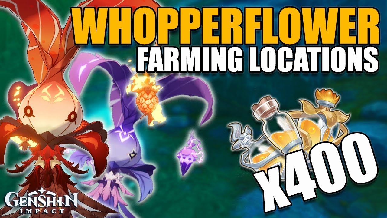 400 Whopperflower Drop Item Farming Route Locations ( Nectar Shimmering Energy ) Genshin Impact