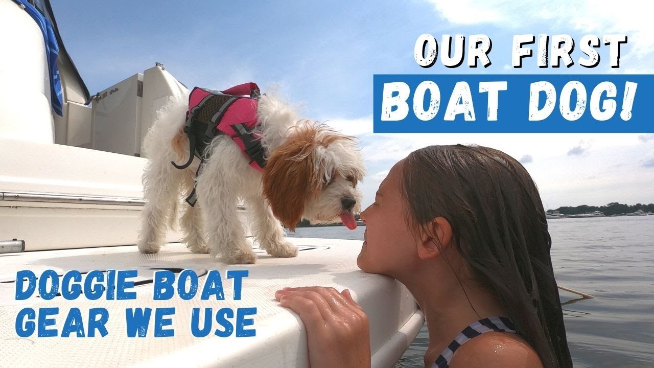 Our First Boat Dog! Doggie Boat Gear We Use