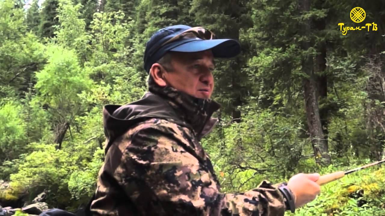 Горная Форель