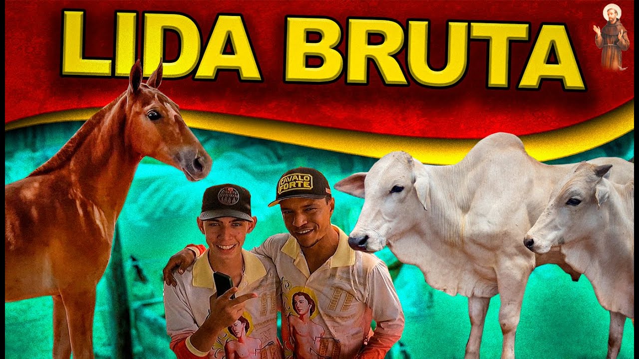 Lida bruta com o gado