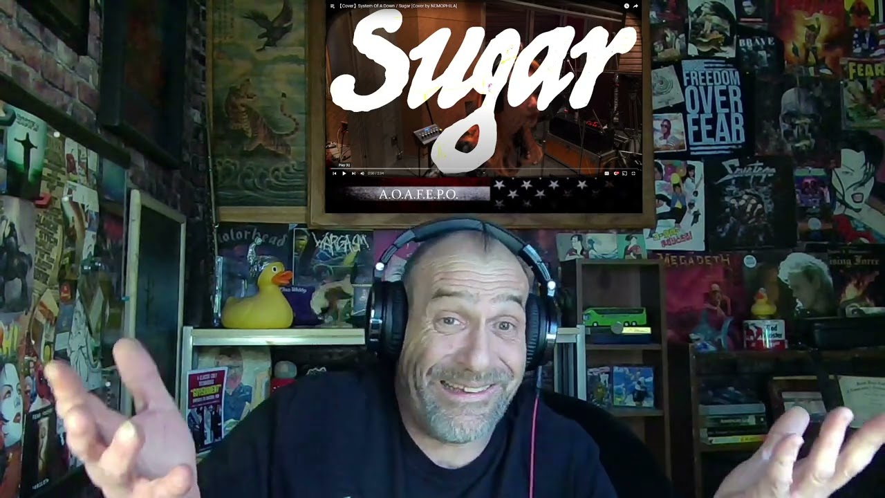 System Of A Down / Sugar [Cover by NEMOPHILA] - Reaction with Rollen