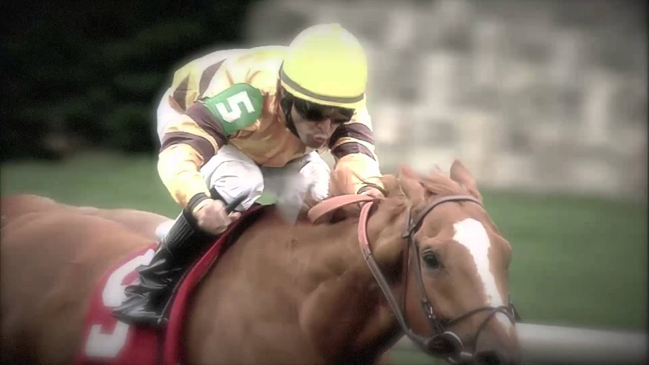 Wise Dan: The Most Interesting Horse in the World, No. 1