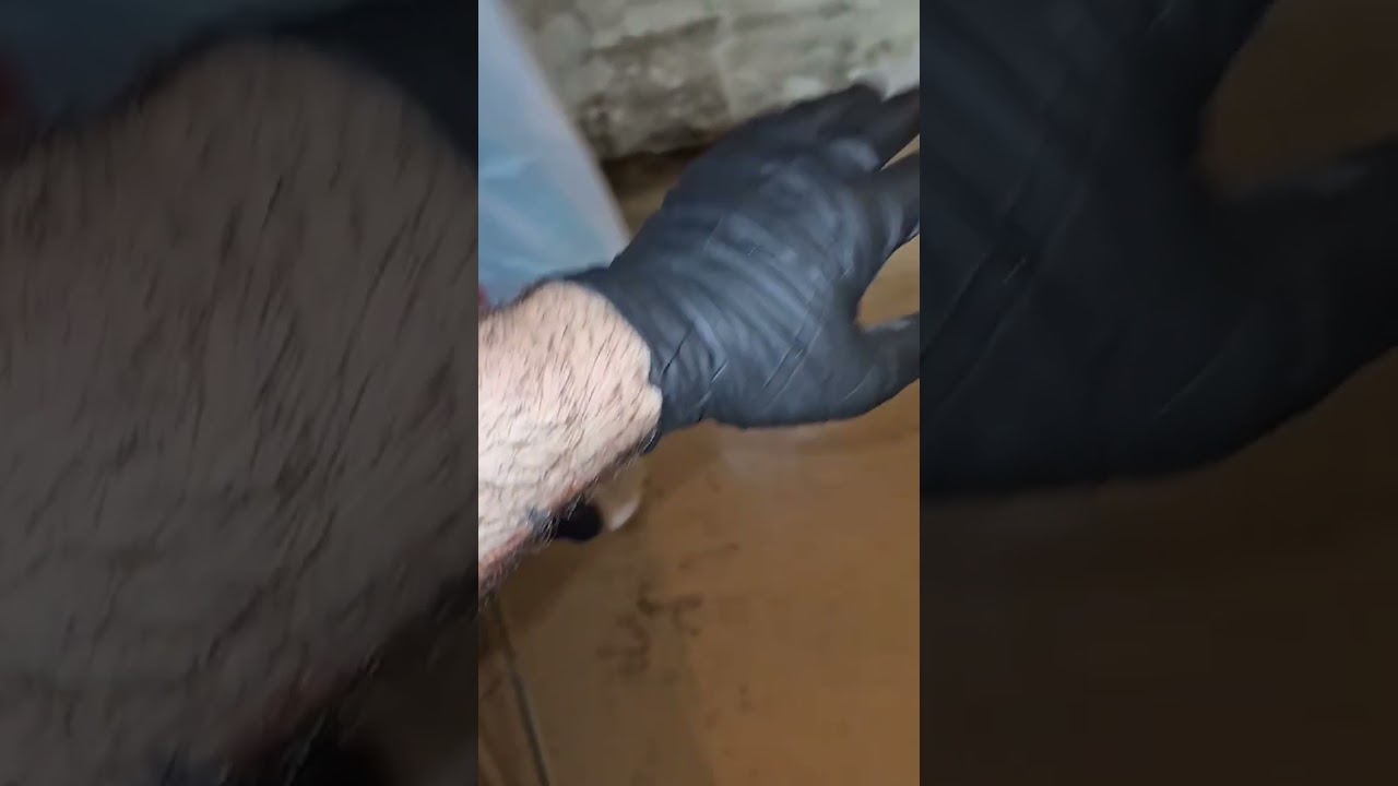 Today's job #work #trending #mold #damage #water #basement #clean