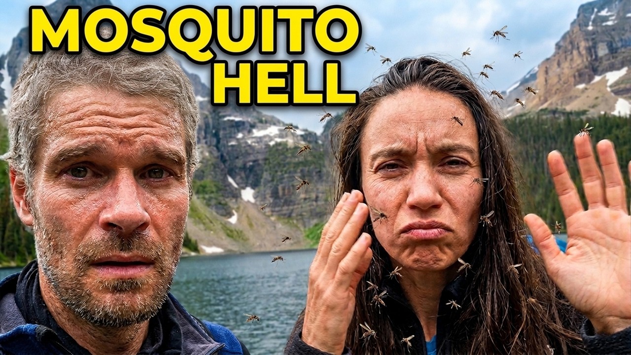 Egypt Lake Trail: Banff's Most Mosquito Ridden Hike 🦟