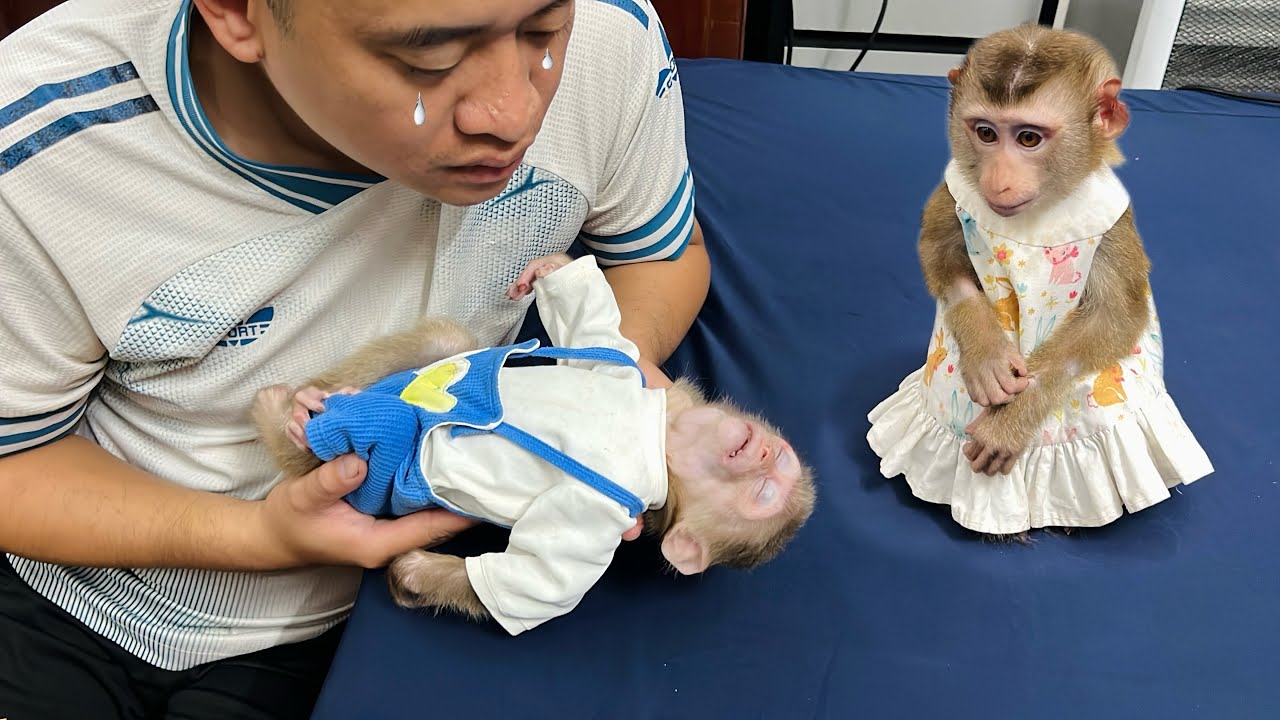 Monkey Tina and Uncle Tuan were very worried when they saw Xuka faint.