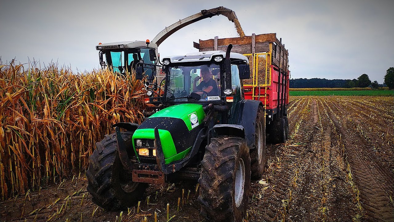 🔥 Kukurydza na kiszonkę 2019 🔥 Hit! ⚫ Class, Deutz-fahr, Same ⚫