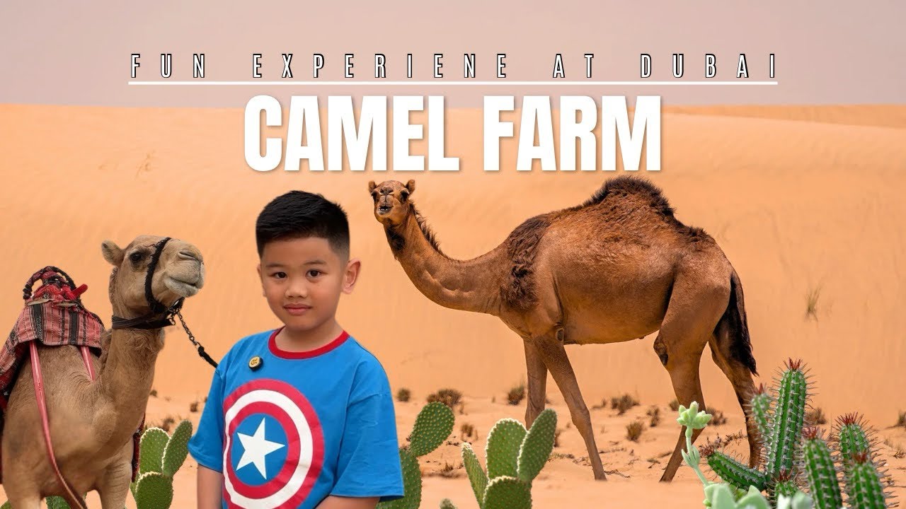 FEEDING ANIMALS: CAMEL FARM IN DUBAI 🐫 