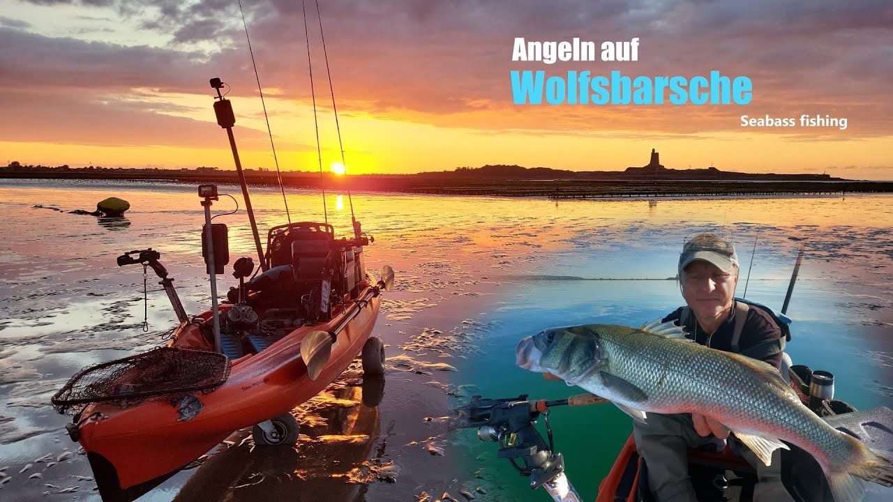 Wolfsbarsche /Seabass mit Wobbler