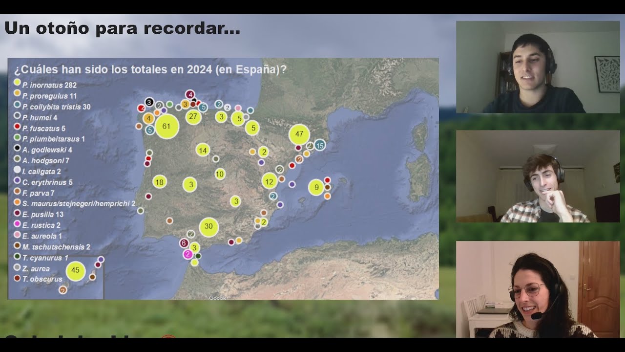 SubalpineLive especial (29-01-2025): 