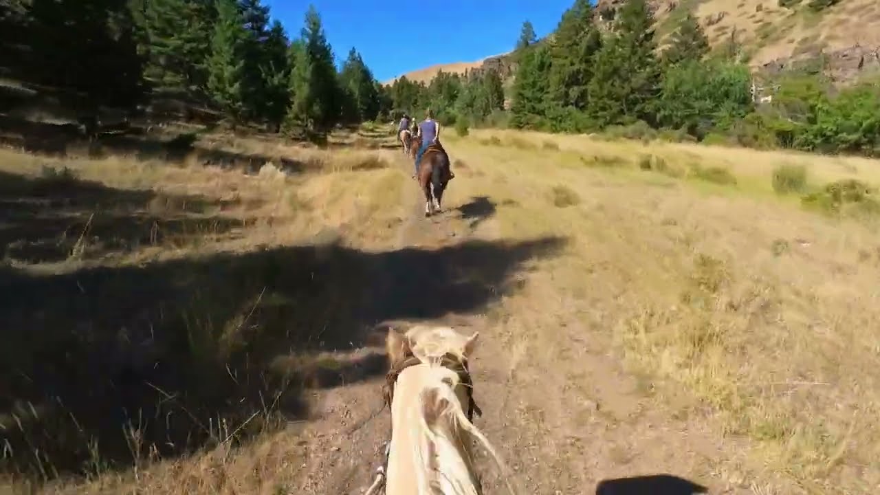 Montana landscapes on horses