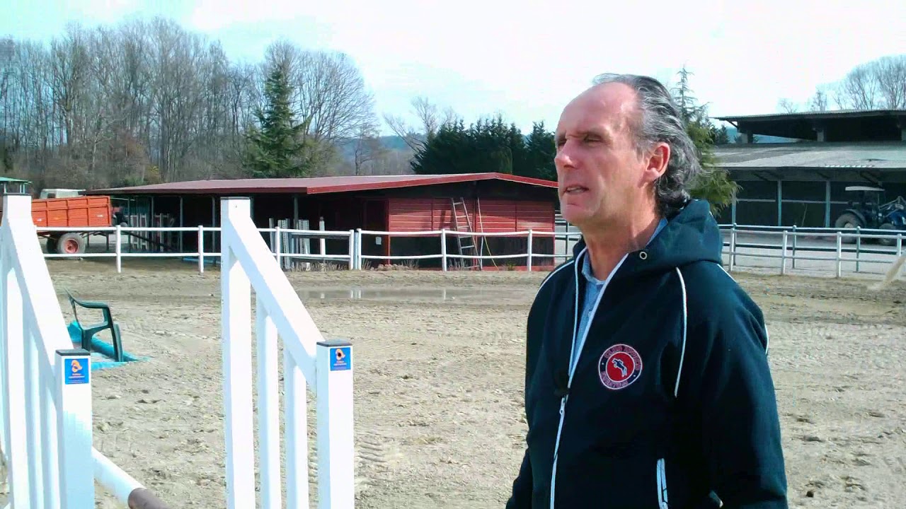 Lezioni di equitazione: cosa fare prima e dopo il salto?