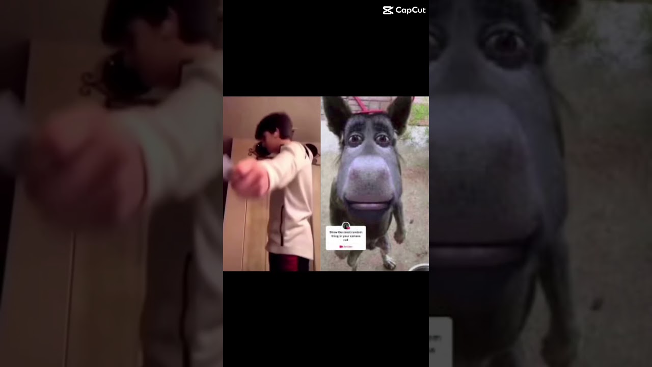 #funny #viral #donkey #meme