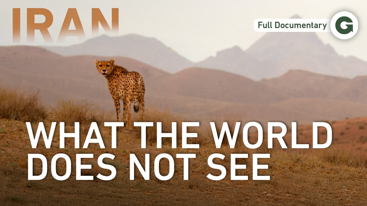 The Peaceful Side of Iran: Rare Wildlife of the Hot South | Full Documentary