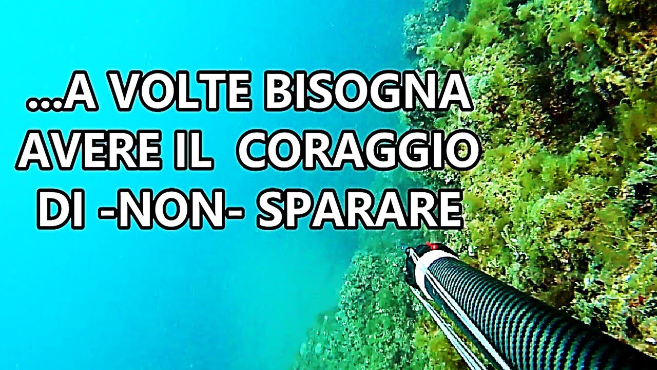 IL CORAGGIO DI NON SPARARE