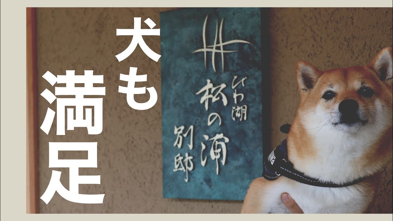 【犬連れ旅行】犬と泊まれる湖畔の温泉リゾート びわ湖松の浦別邸（滋賀県）