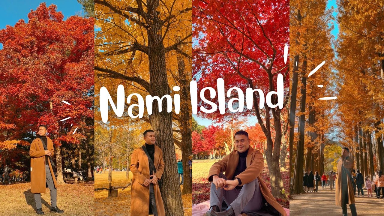 AUTUMN 🍂 at Nami Island | 22.10.29