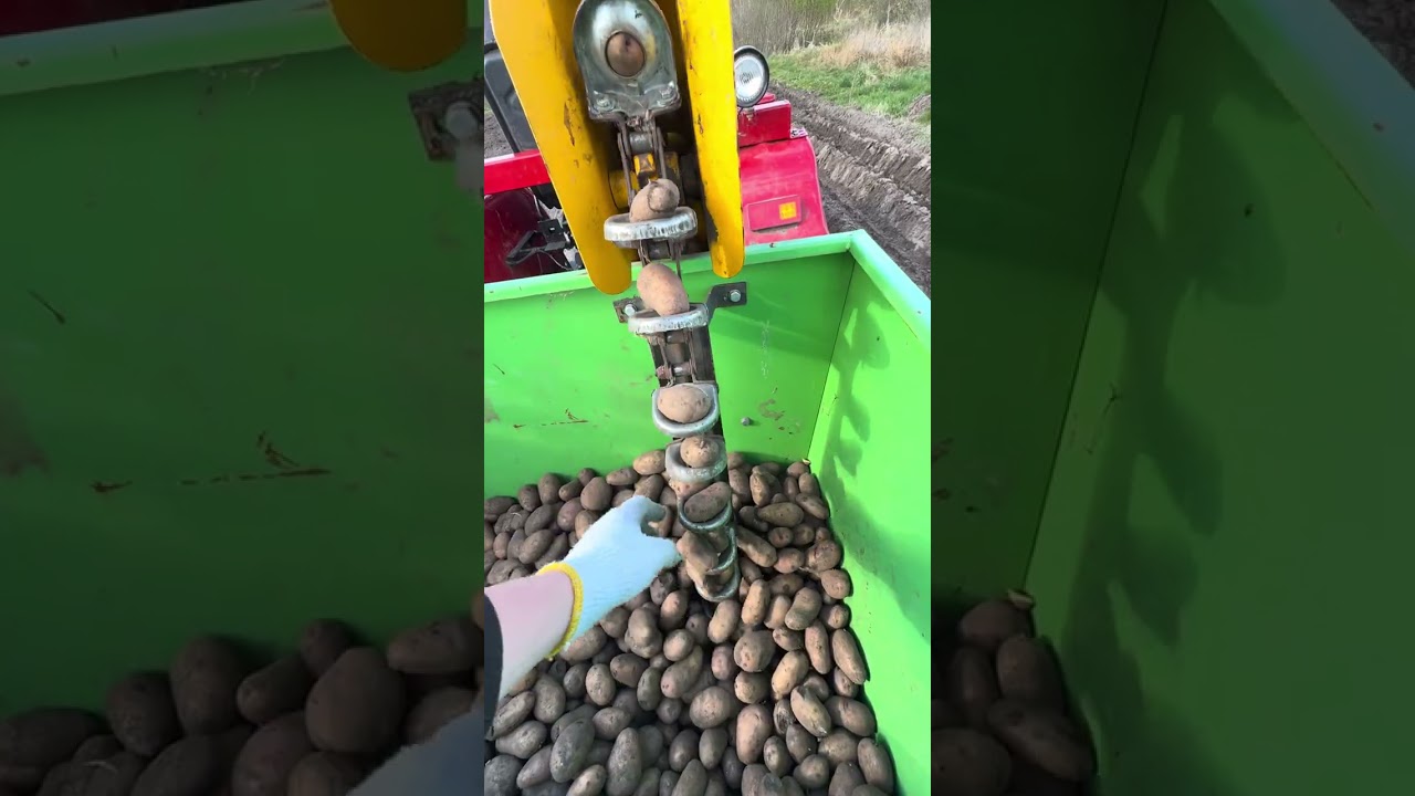 Jak prosta maszyna DIY sadzi ziemniaki z idealną precyzją! 🤯
