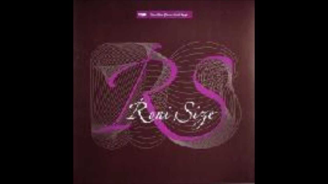 Roni Size   Swings And Roundabouts