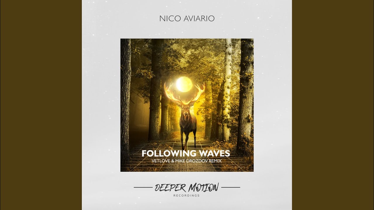 Following Waves (Original Mix)