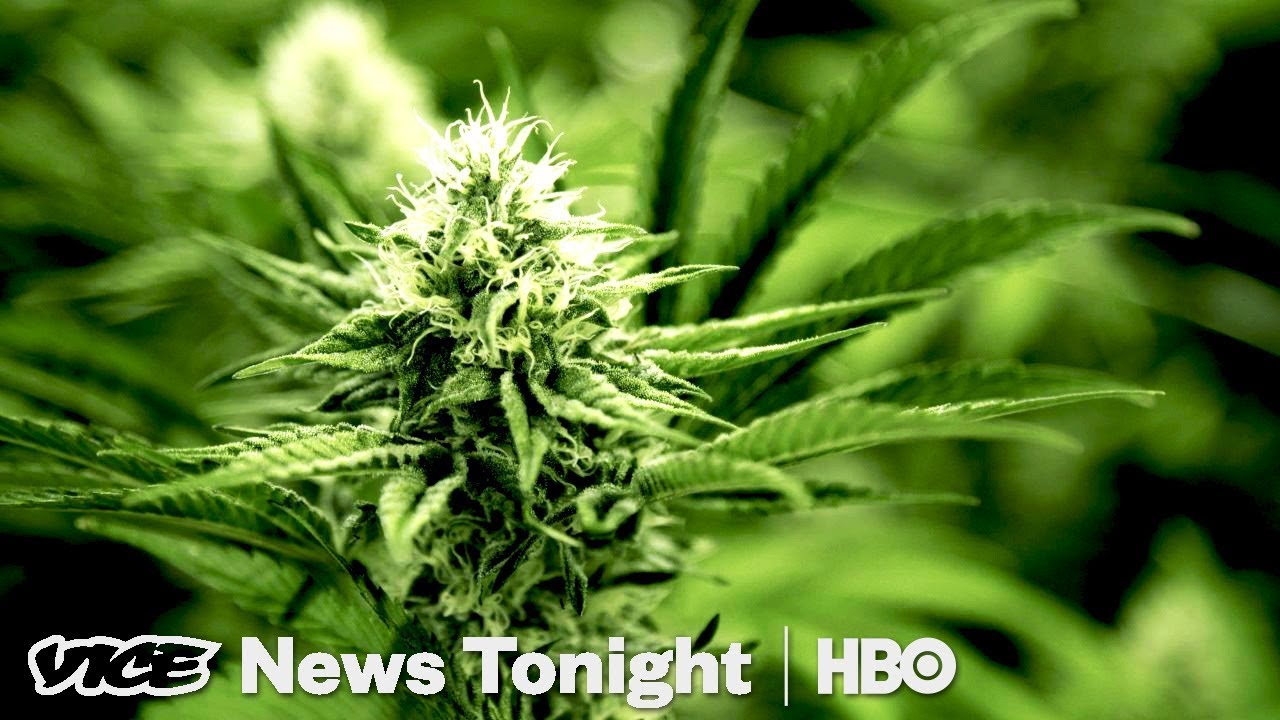 Oregon Weed Market & France Goes Green: VICE News Tonight Full Episode (HBO)