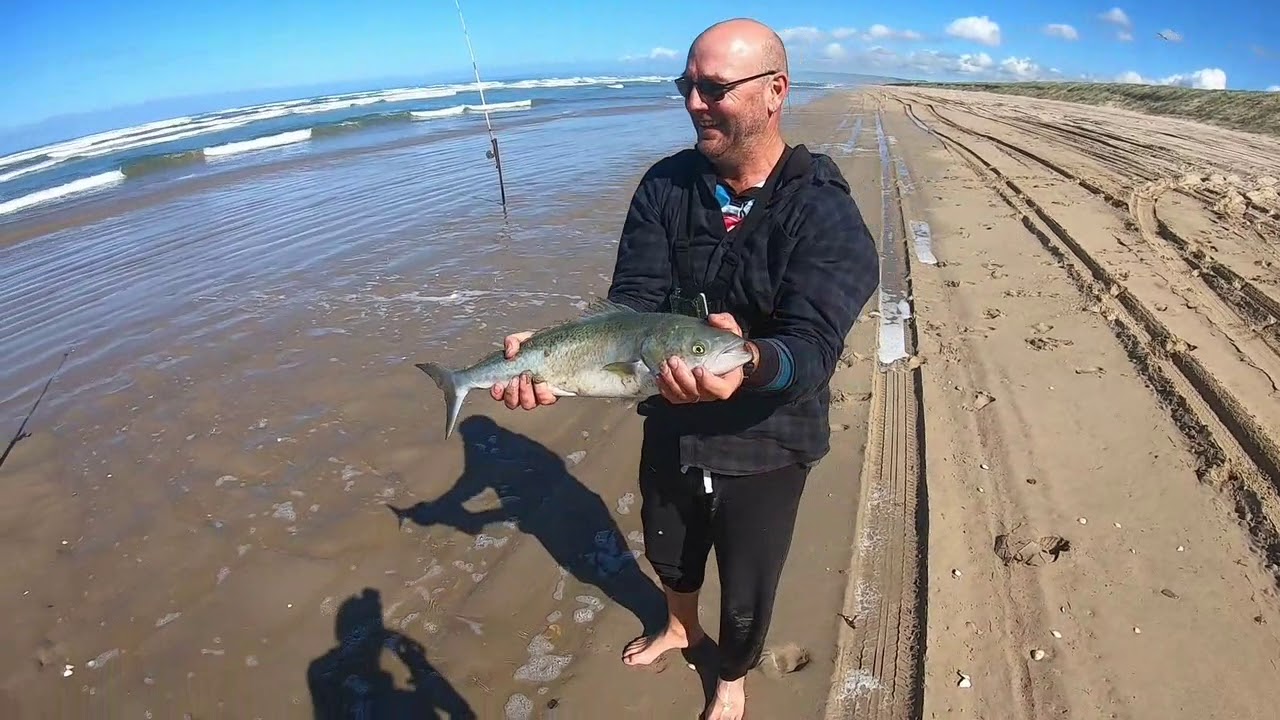 Big Australian Salmon and Flathead off Goolwa Beach